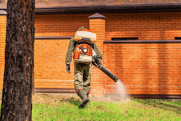 Bed Bug Clearance Verification and Documentation in Des Moines
